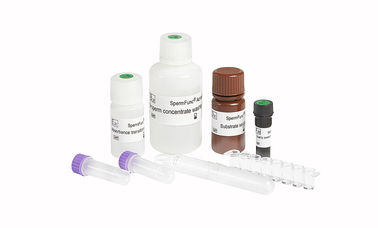 SpermFuncuitrustingen/Stevige Fasebapna Methode voor de Activiteiten Kwantitatieve Test van Spermatozoönenacrosin
