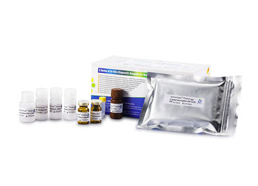 Antimullerian-Hormoon Elisa Kit For Female Fertility Diagnosis